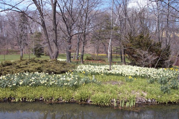 Along the Niagara Falls Parkway Spring 2004 - 19