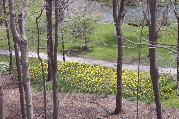 Along the Niagara Falls Parkway Spring 2004 - 54