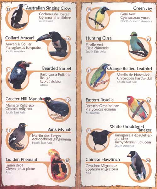 Niagara Falls Aviary Guide Main Aviary page 2