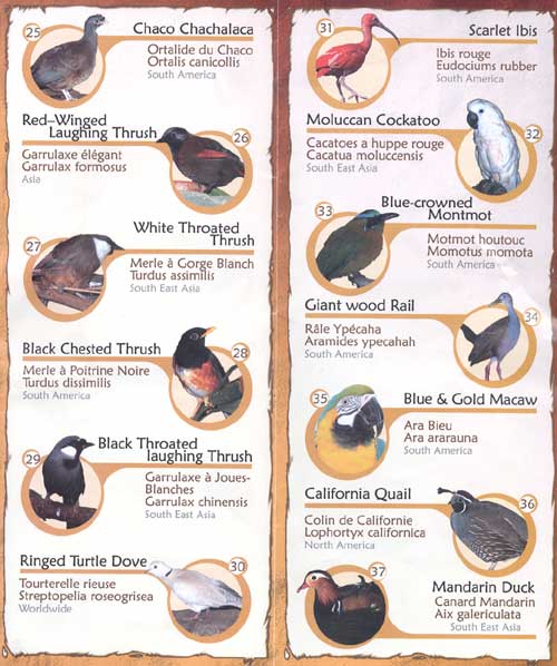 Niagara Falls Aviary Guide Main Aviary page 3