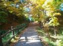 Niagara Falls in Autumn 2001- 06