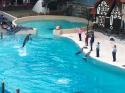 Marineland in Summer 2006 010