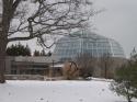 Butterfly Conservatory in Winter 2007 01