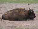 Marineland in Summer 2008 14