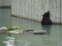 Marineland in June 2011 26