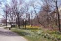 Along the Niagara Falls Parkway Spring 2004 - 01