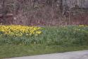 Along the Niagara Falls Parkway Spring 2004 - 06