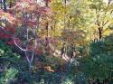 Niagara Falls in Autumn 2000 - 20